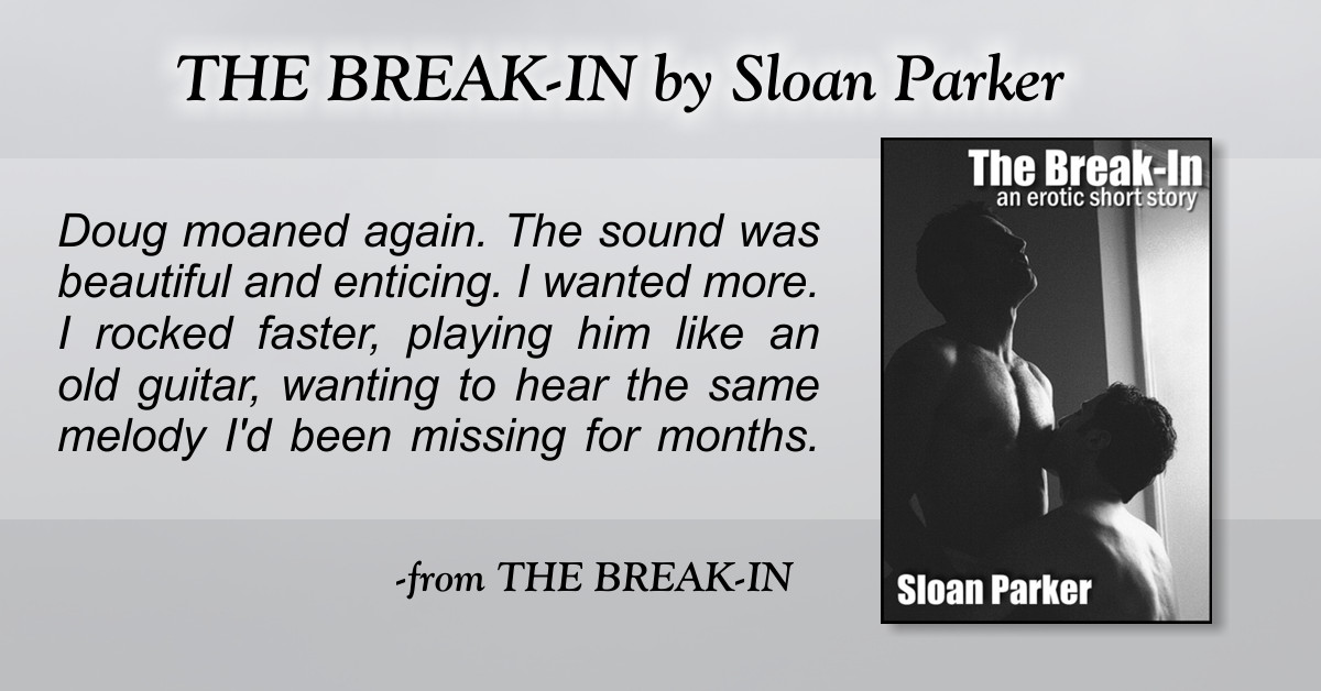 The Break-In by Sloan Parker